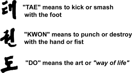 tae kwon do meaning